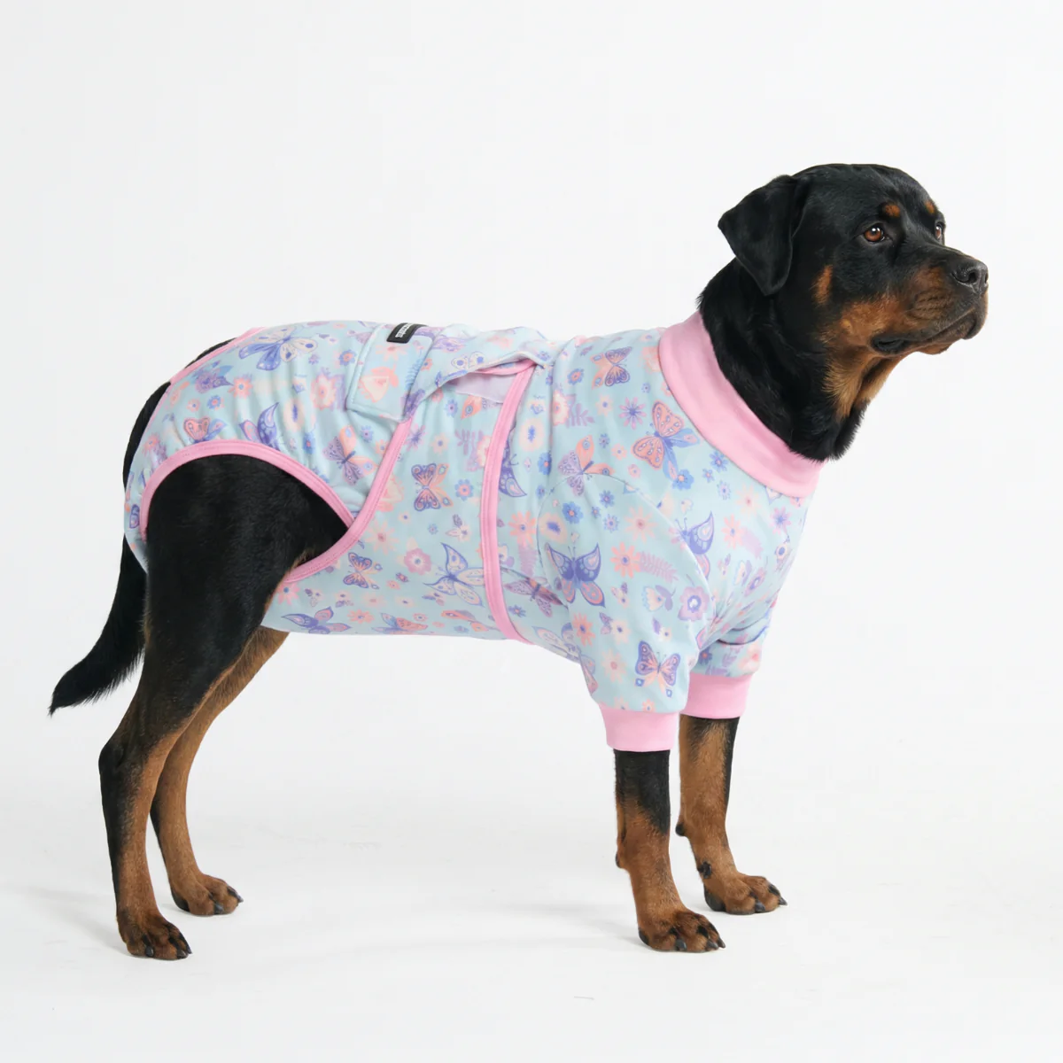 Dog Surgical Suit - Image 90