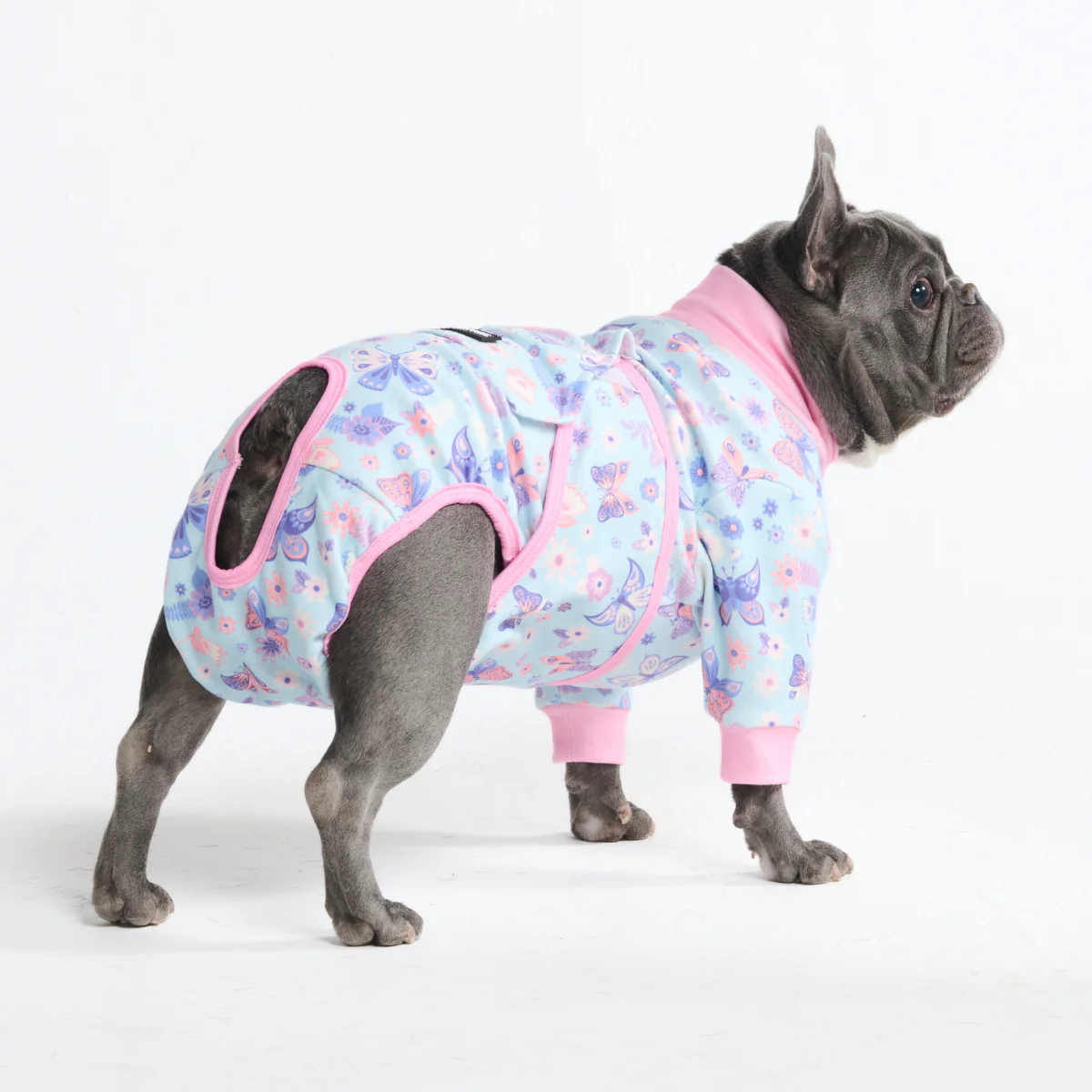 Dog Surgical Suit - Image 94