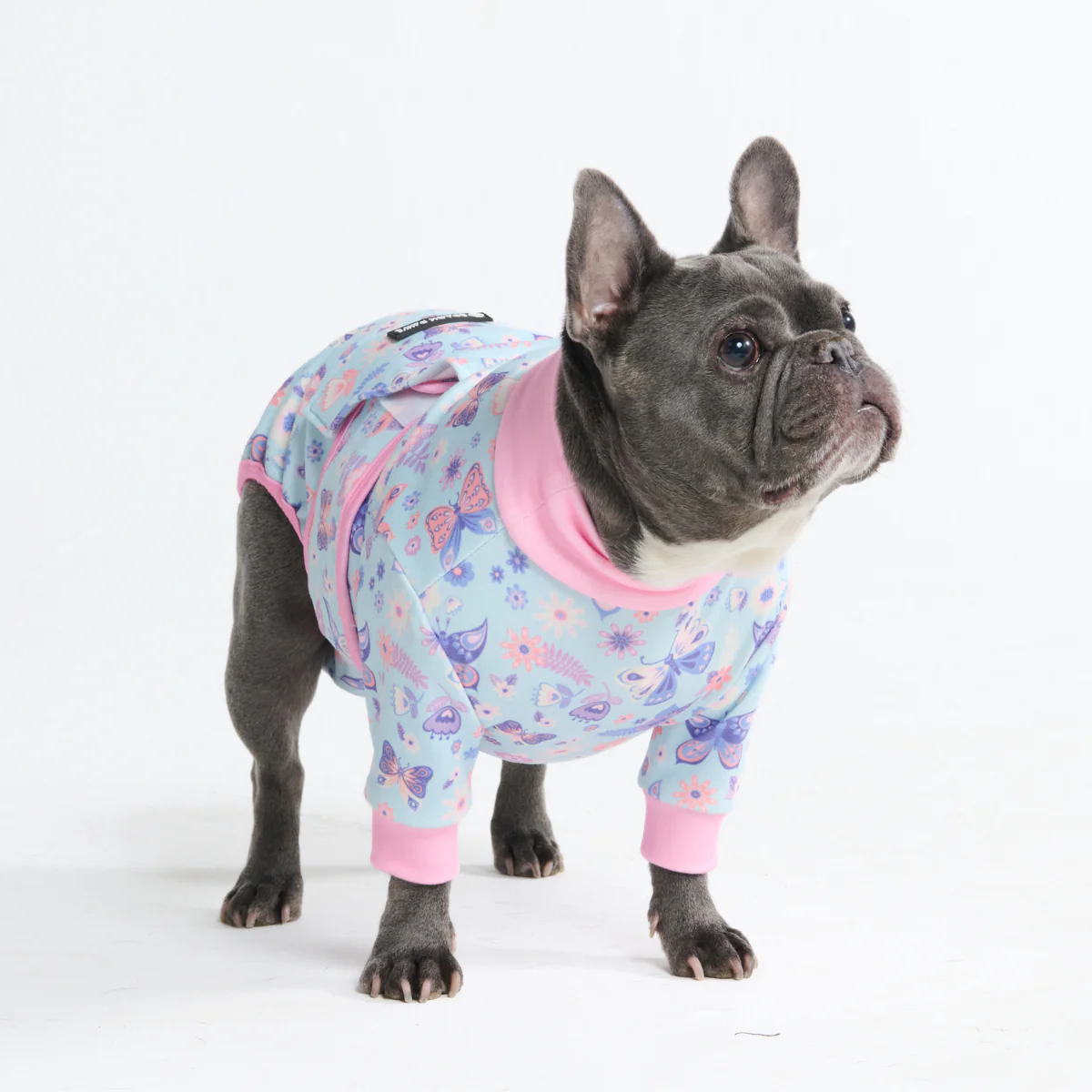 Dog Surgical Suit - Image 95