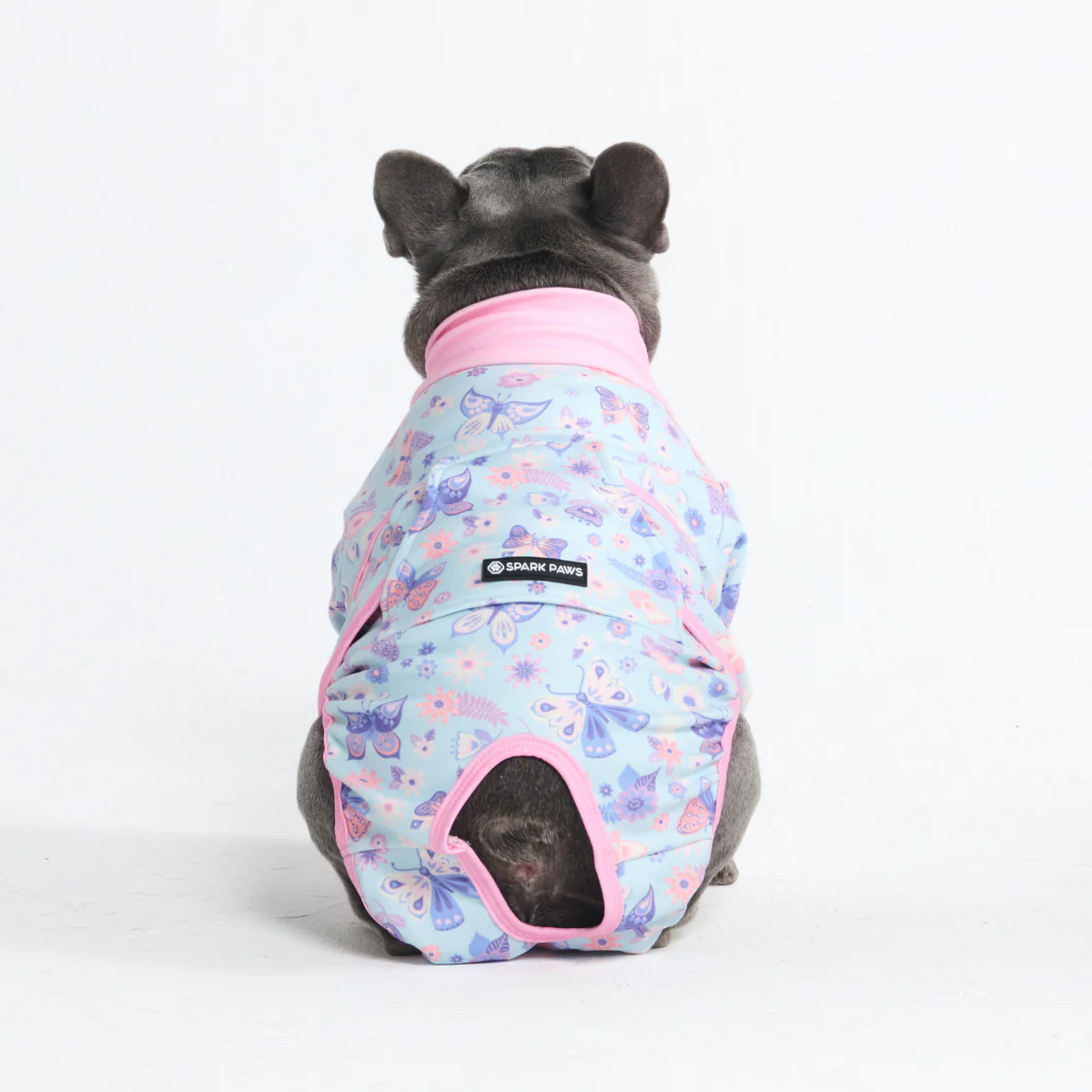Dog Surgical Suit - Image 96