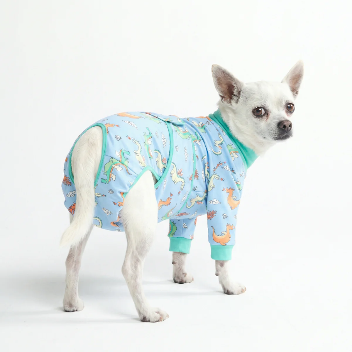 Dog Surgical Suit - Image 98