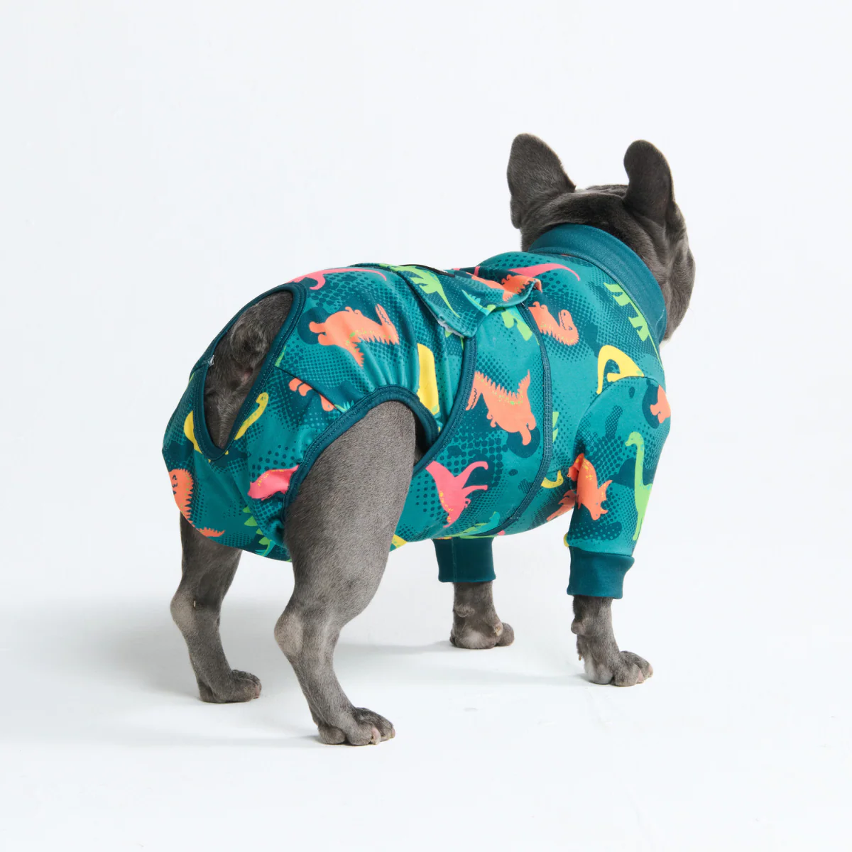 Dog Surgical Suit (2-pack) - Breakfast Blue and Dinosaurs - Image 10