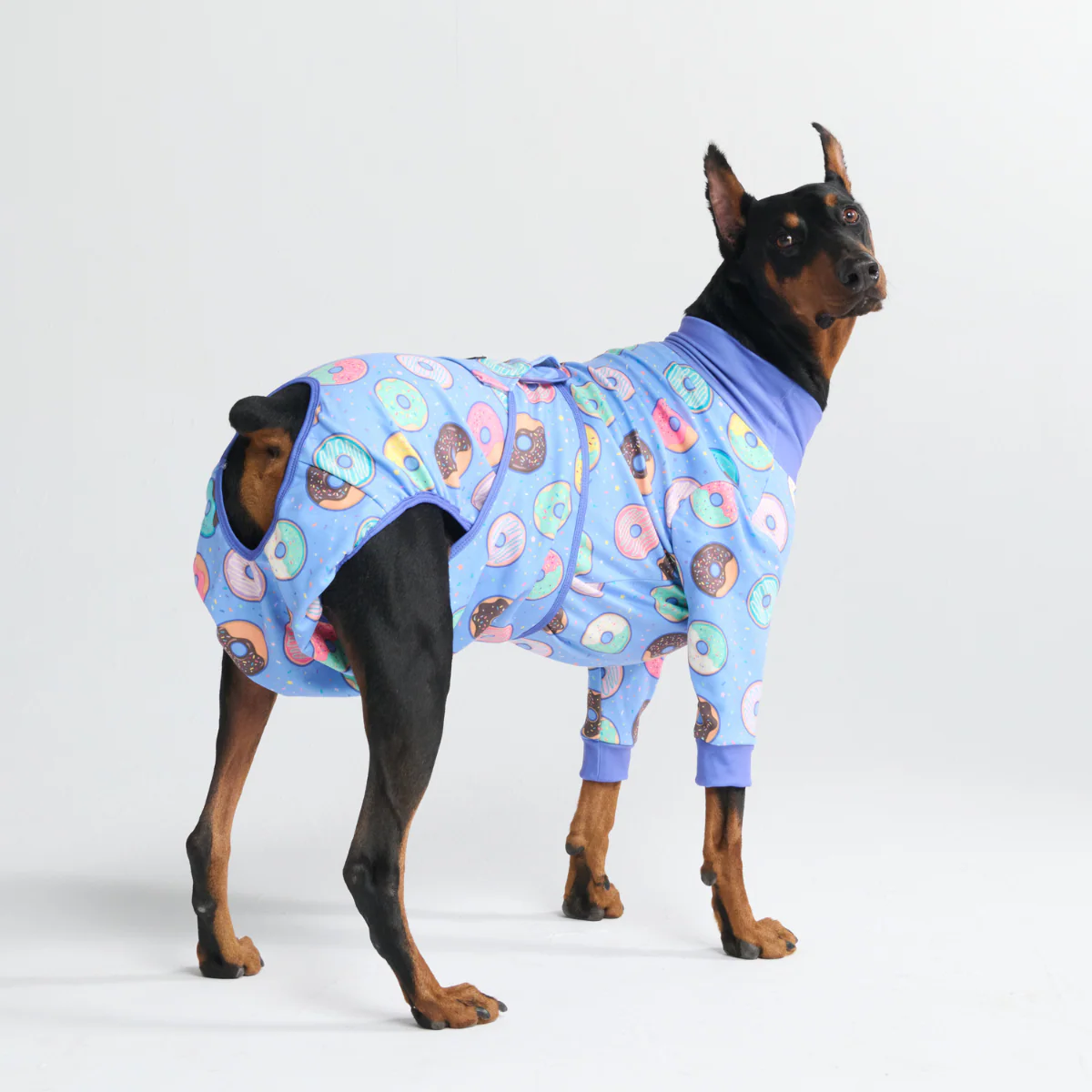 Dog Surgical Suit (2-pack) - Breakfast Blue and Donuts - Image 10