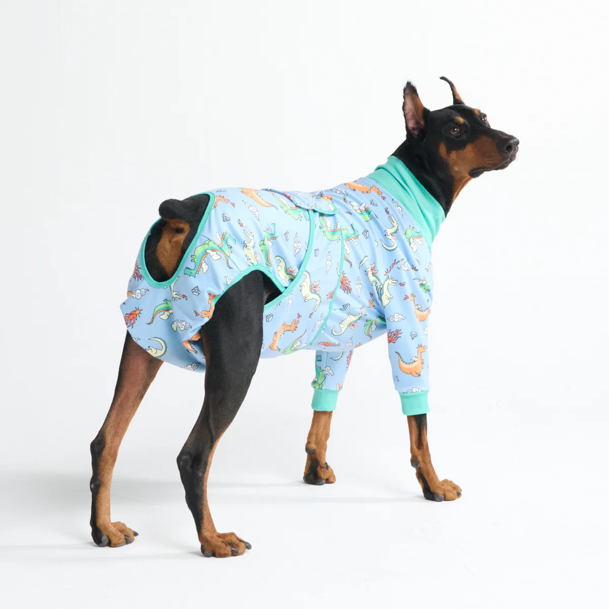 Dog Surgical Suit (2-pack) - Dinosaurs and Dragons - Image 10
