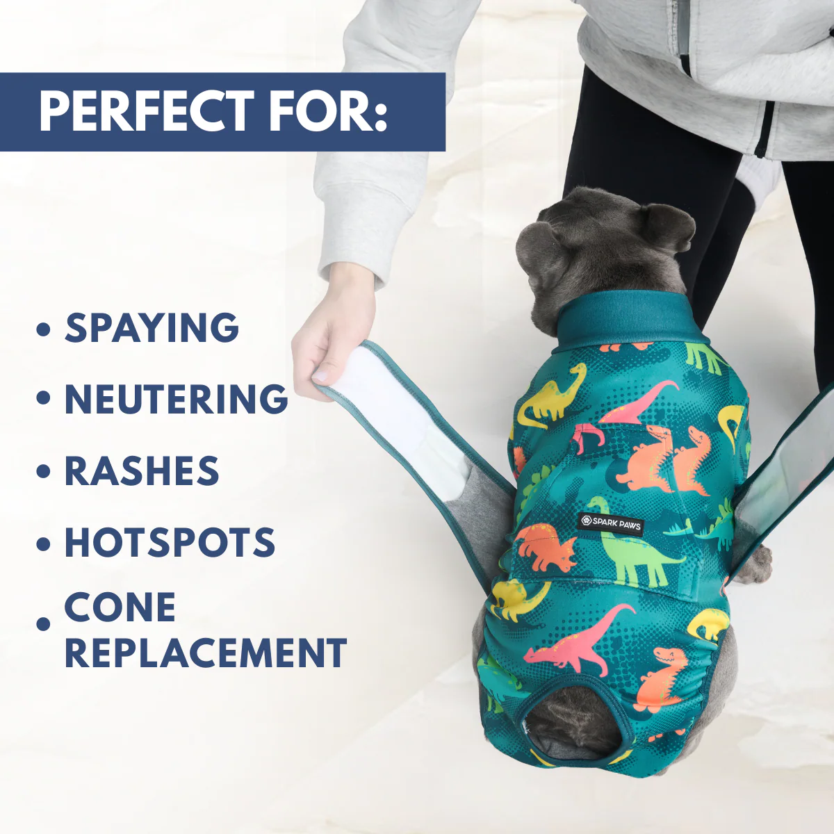 Dog Surgical Suit (2-pack) - Dinosaurs and Dragons - Image 7