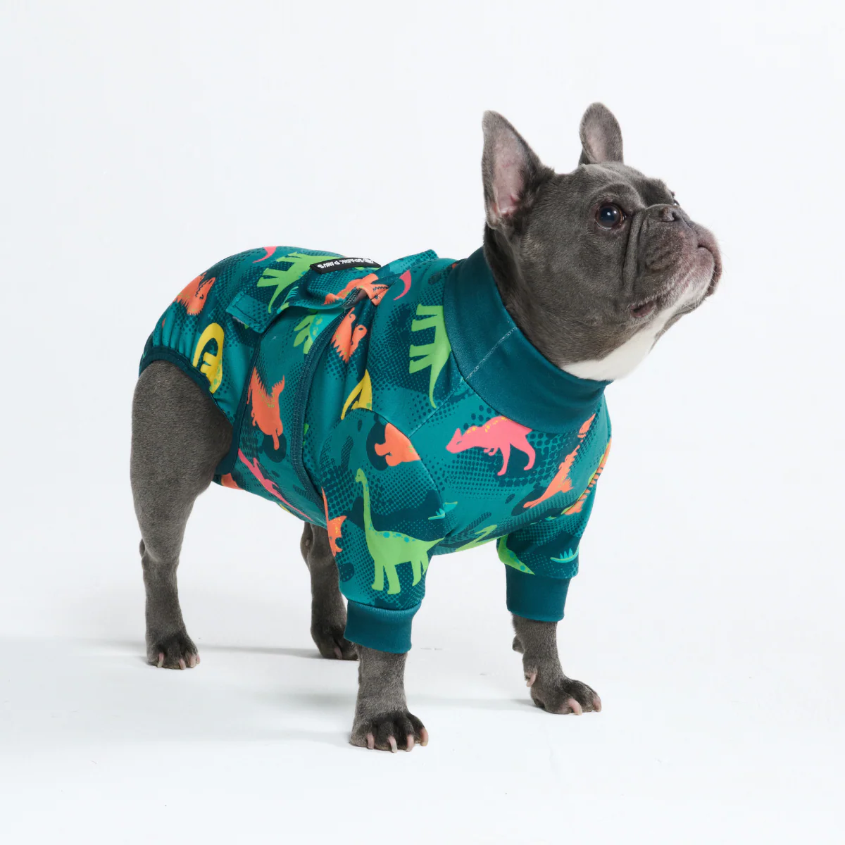 Dog Surgical Suit (2-pack) - Dinosaurs and Sunshine - Image 11