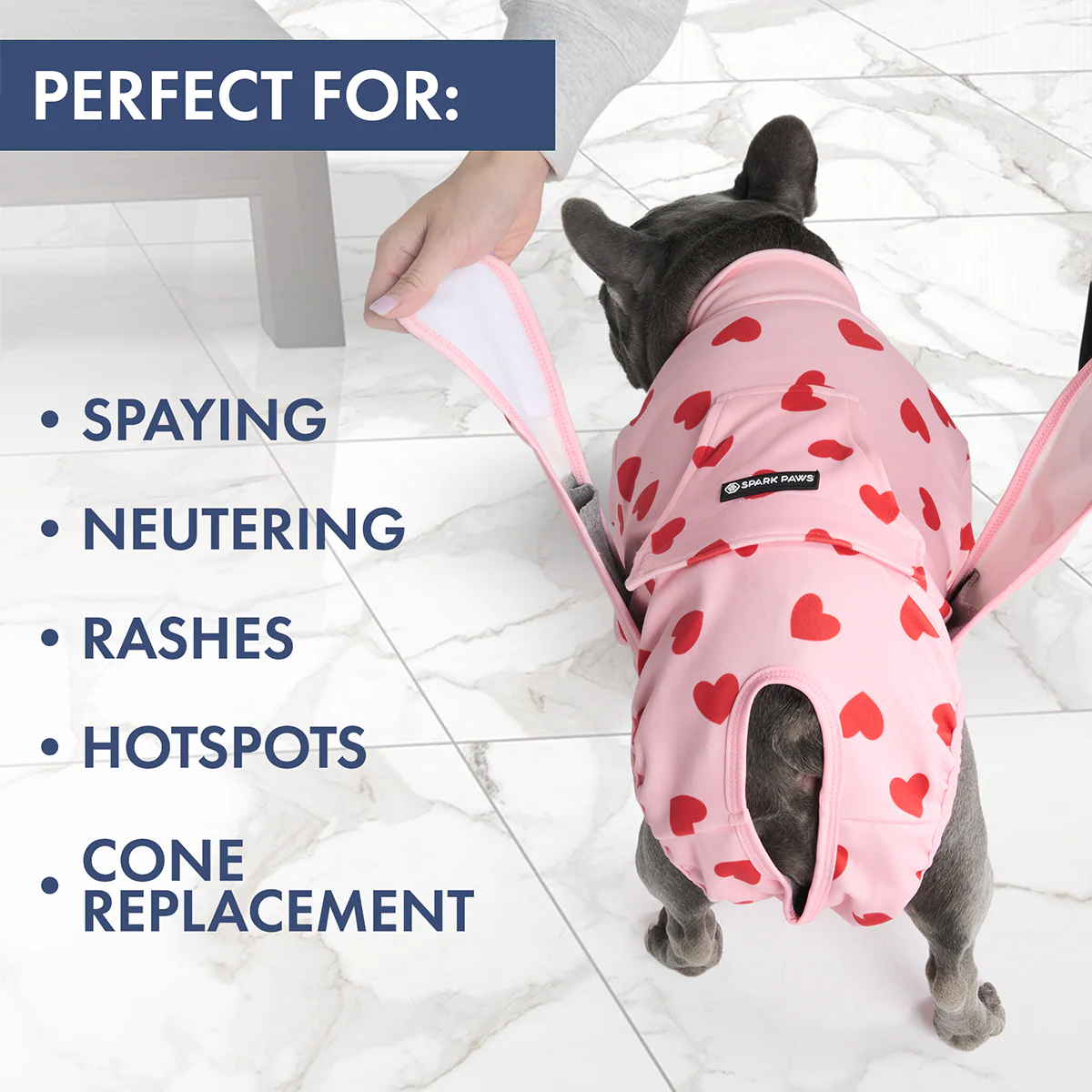 Dog Surgical Suit (2-pack) - Pink Hearts and Sunshine - Image 7