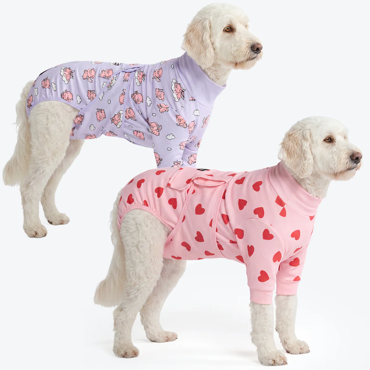 Dog Surgical Suit (2-pack) - Pink Hearts and When Pigs Fly - Image 4