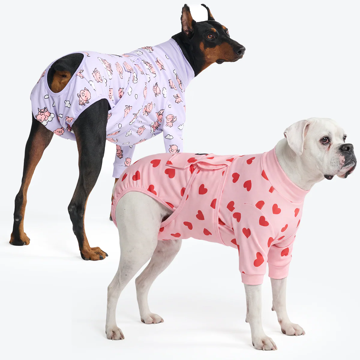 Dog Surgical Suit (2-pack) - Pink Hearts and When Pigs Fly - Image 5