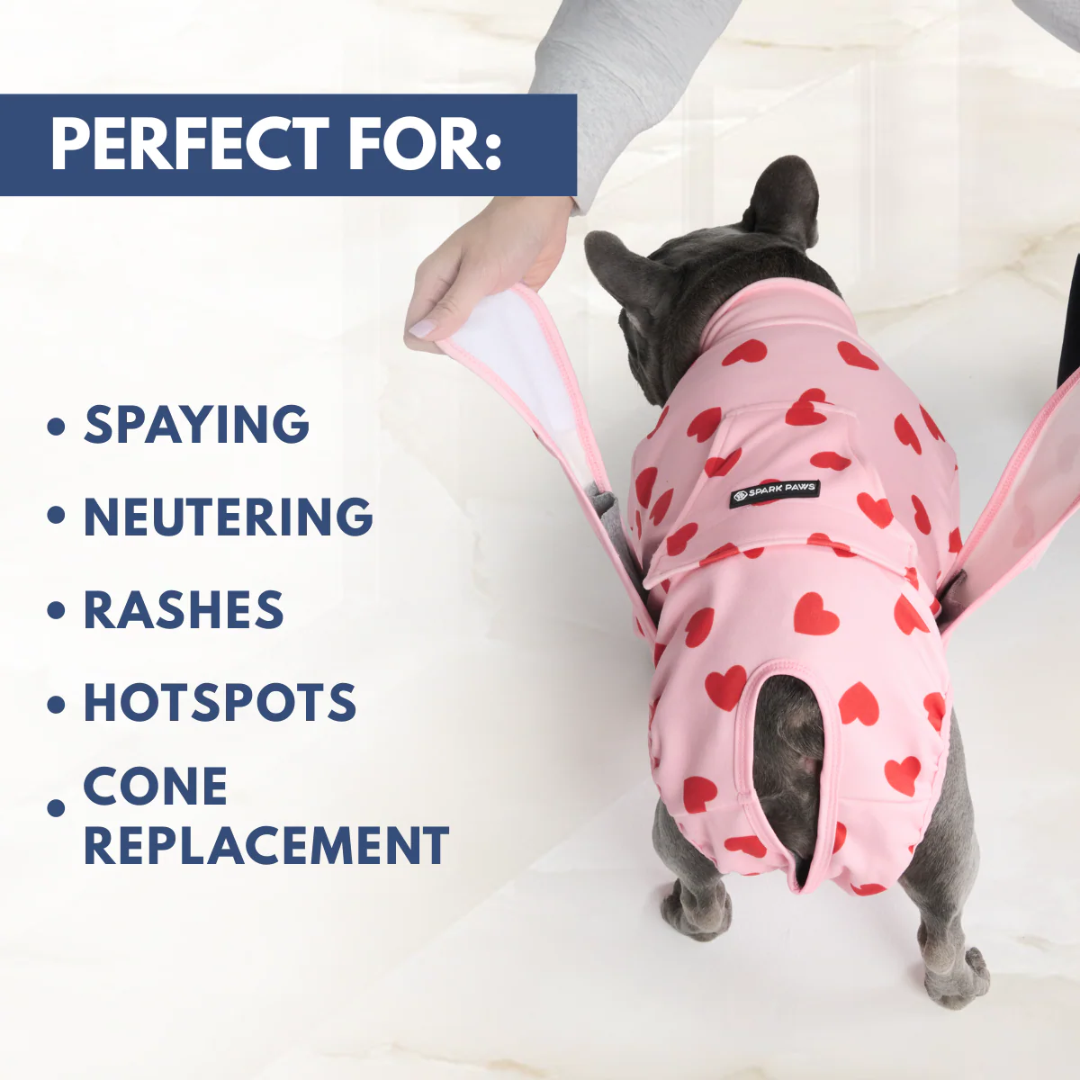 Dog Surgical Suit (2-pack) - Pink Hearts and When Pigs Fly - Image 7
