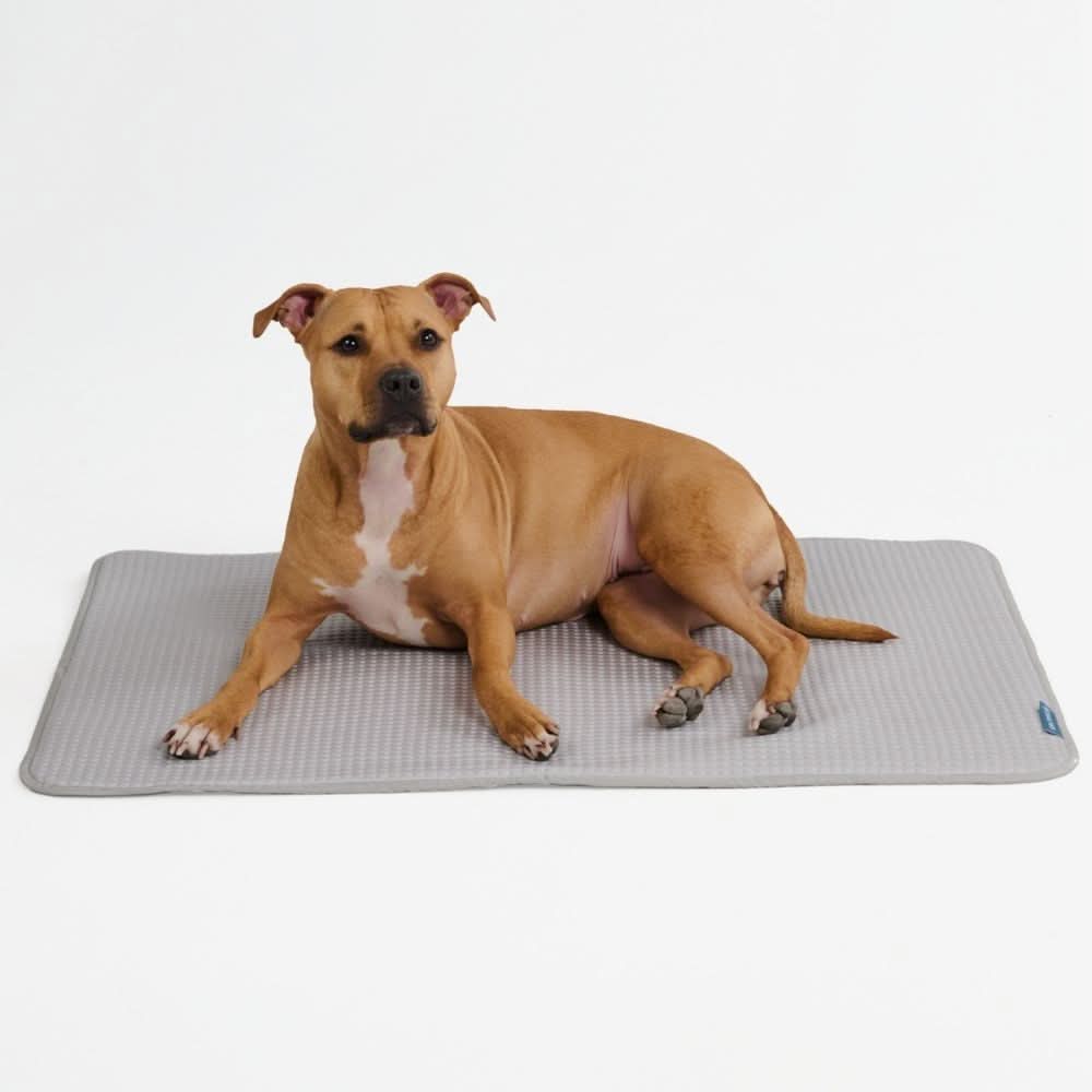 Frostcore™ Cooling Mat - Image 31