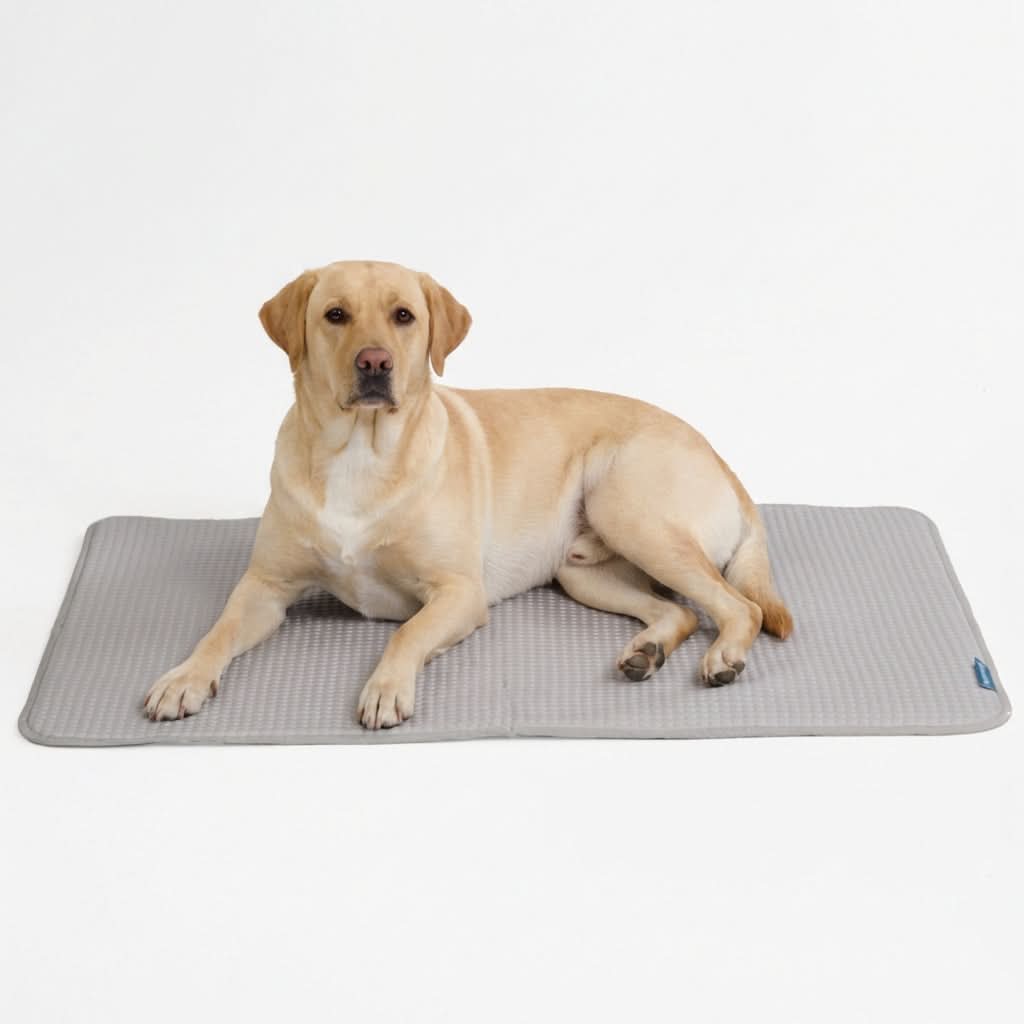 Frostcore™ Cooling Mat - Image 32