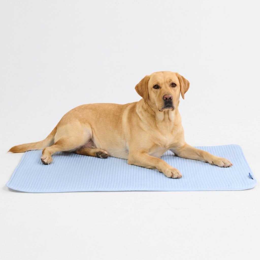 Frostcore™ Cooling Mat - Image 95