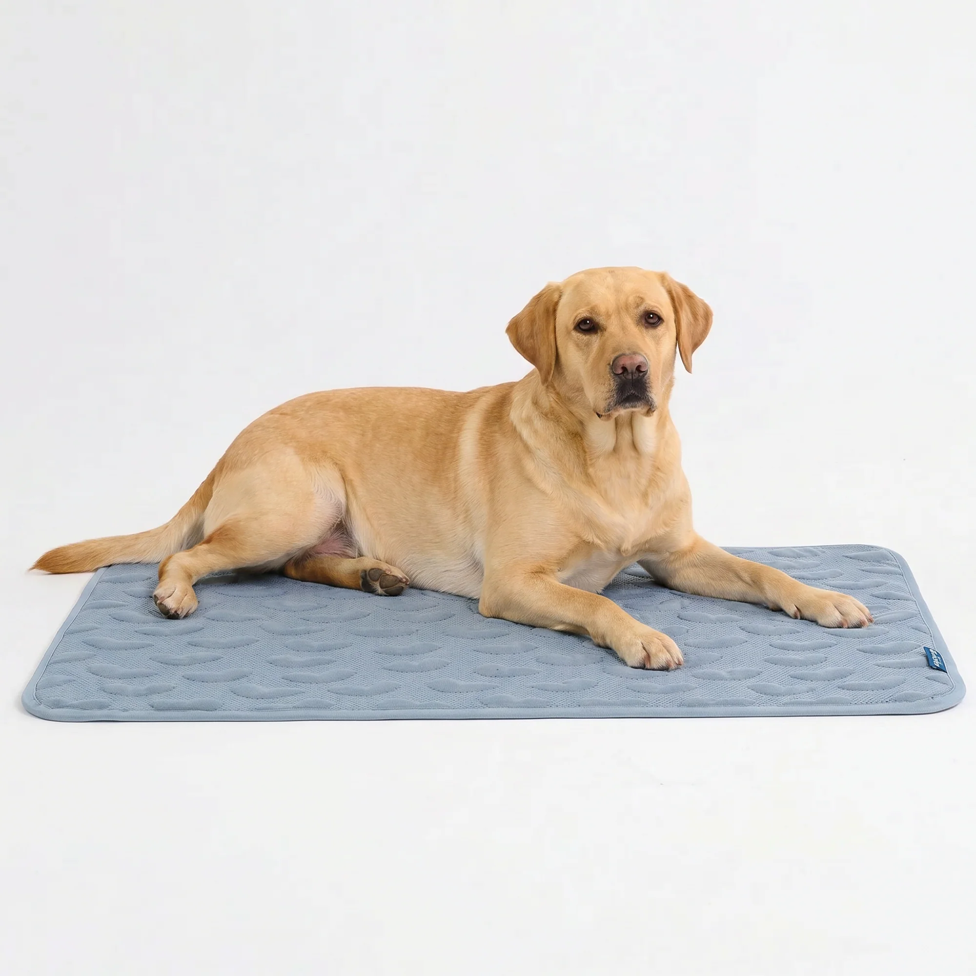 Frostcore™ Cooling Mat - Image 75