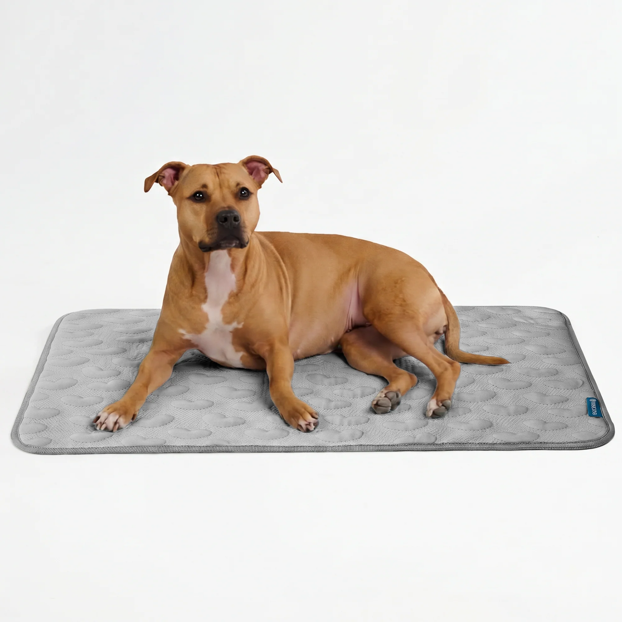 Frostcore™ Cooling Mat - Image 64