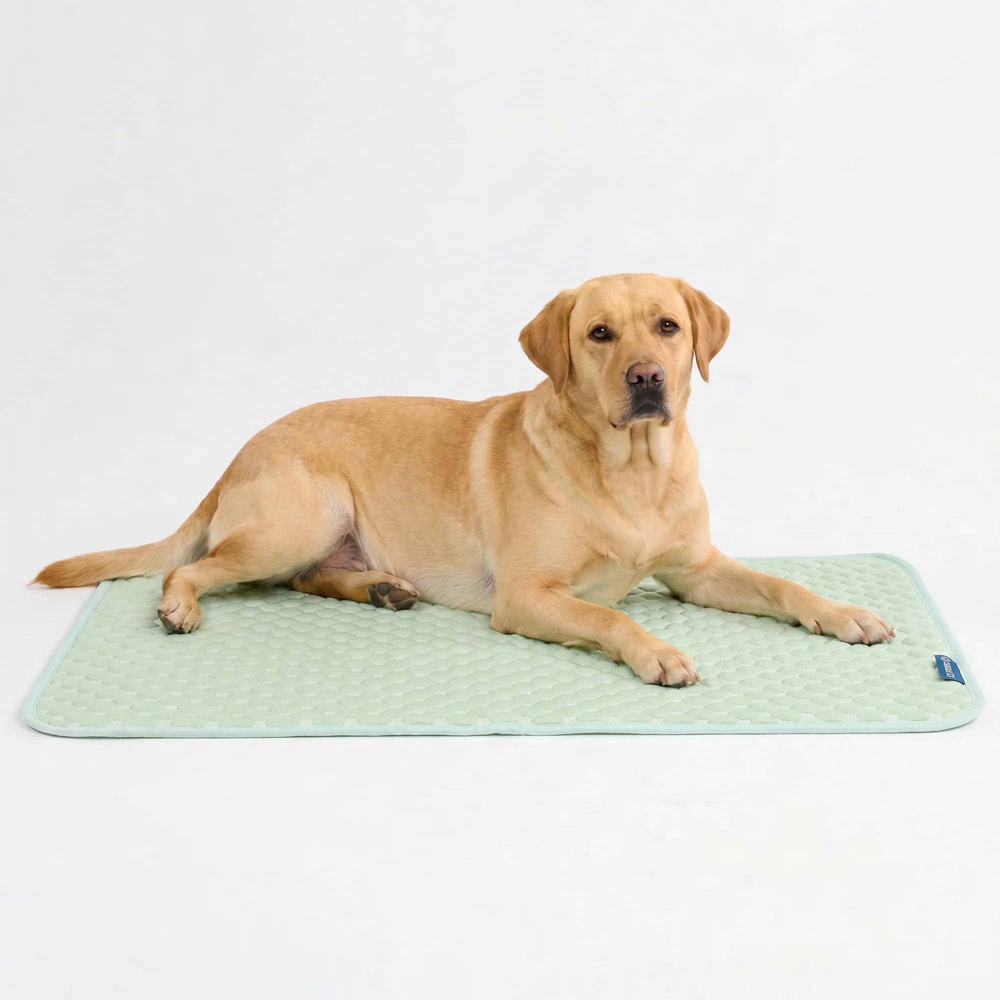 Frostcore™ Cooling Mat - Image 51