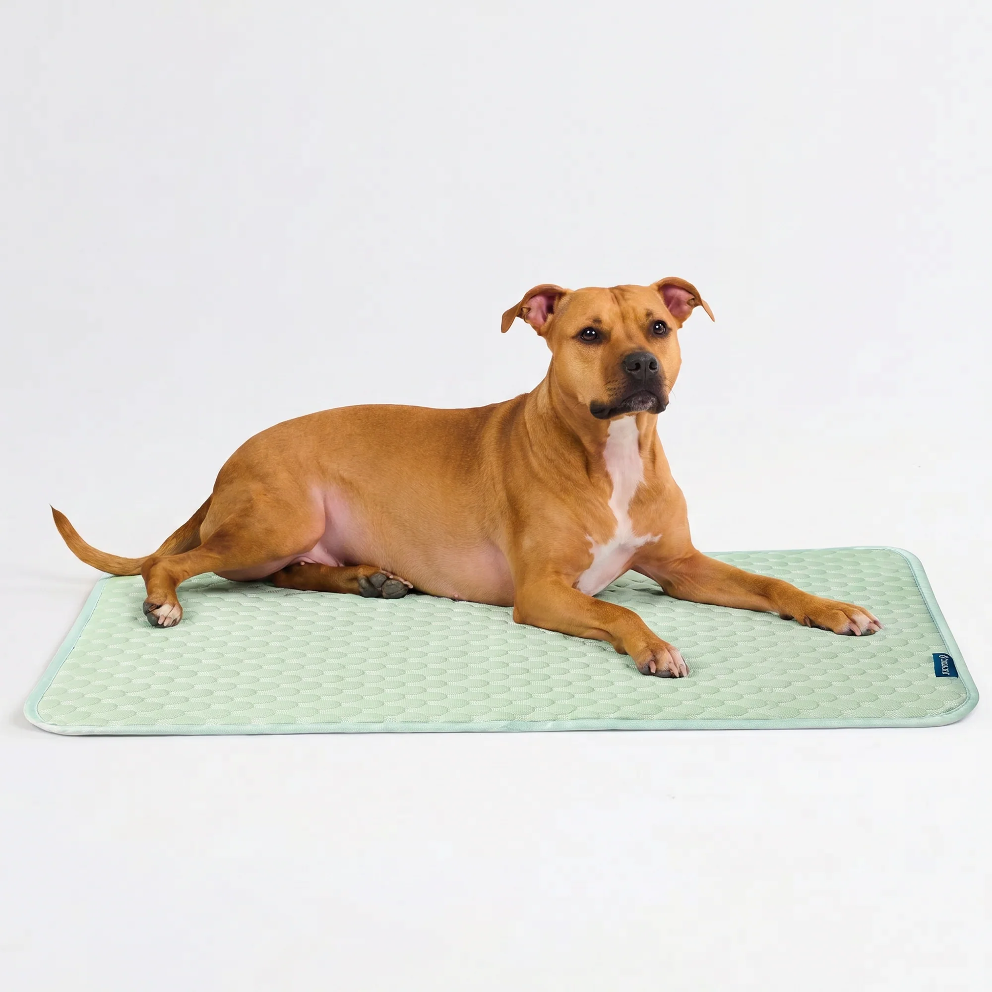 Frostcore™ Cooling Mat - Image 55