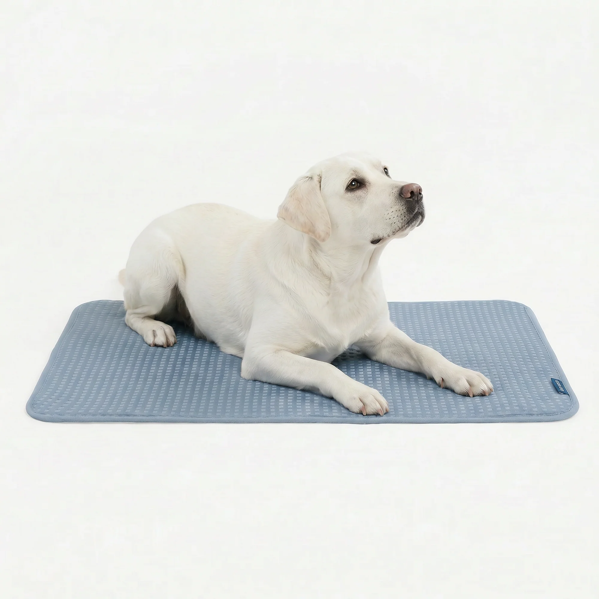 Frostcore™ Cooling Mat - Image 85