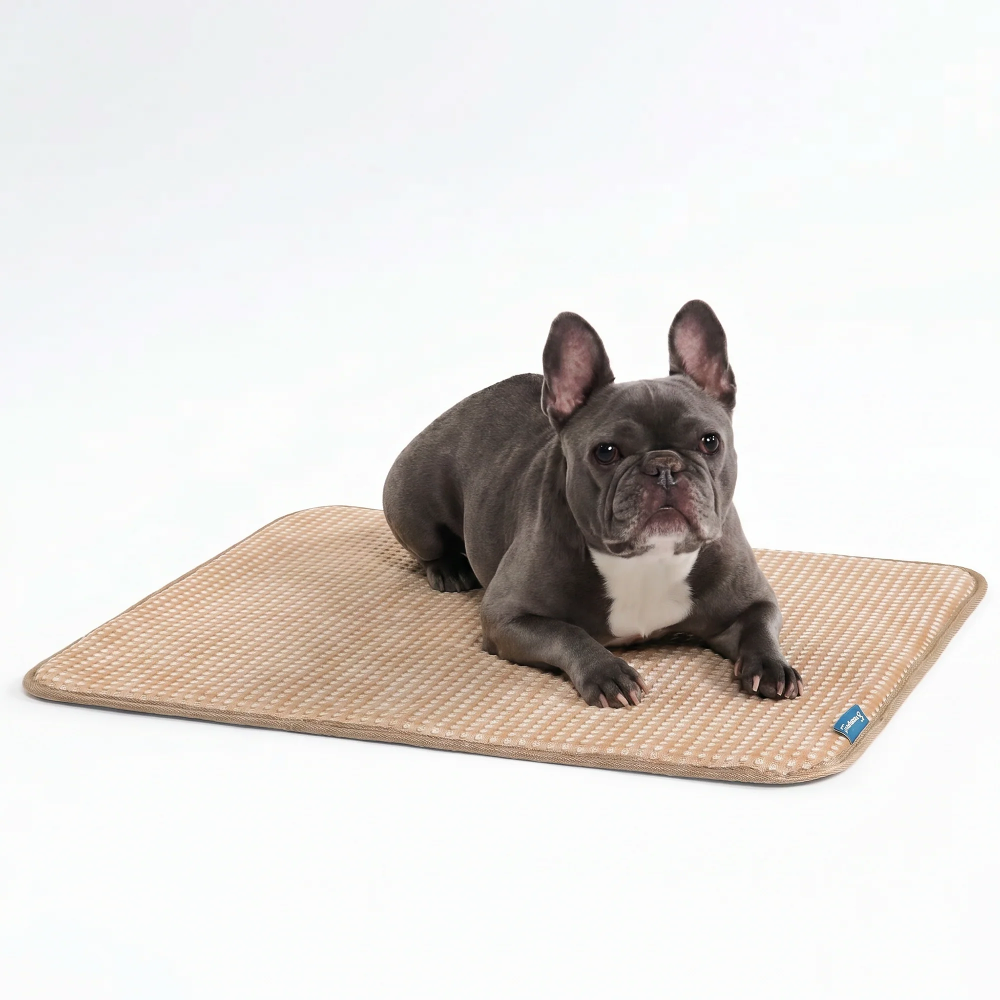 Frostcore™ Cooling Mat - Image 41