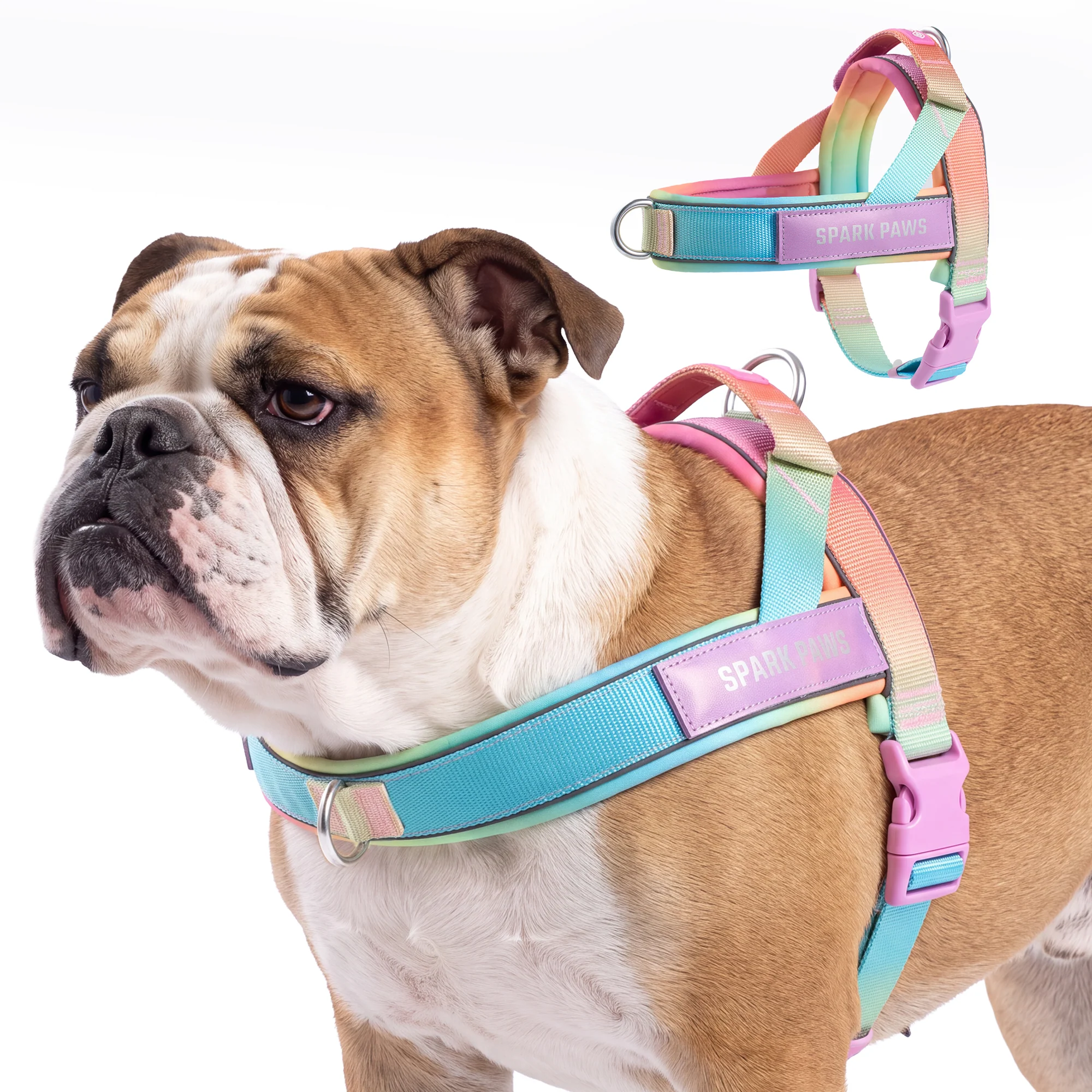 Grab & Go Harness - Pastel Icing - Image 2