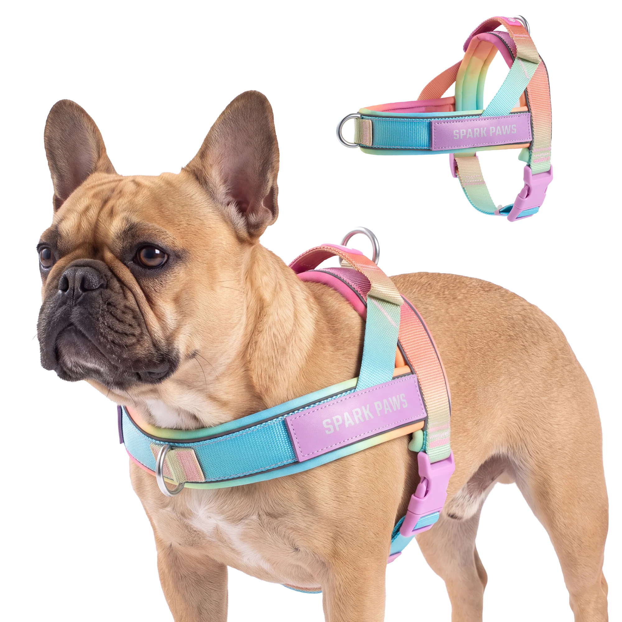 Grab & Go Harness - Pastel Icing - Image 4