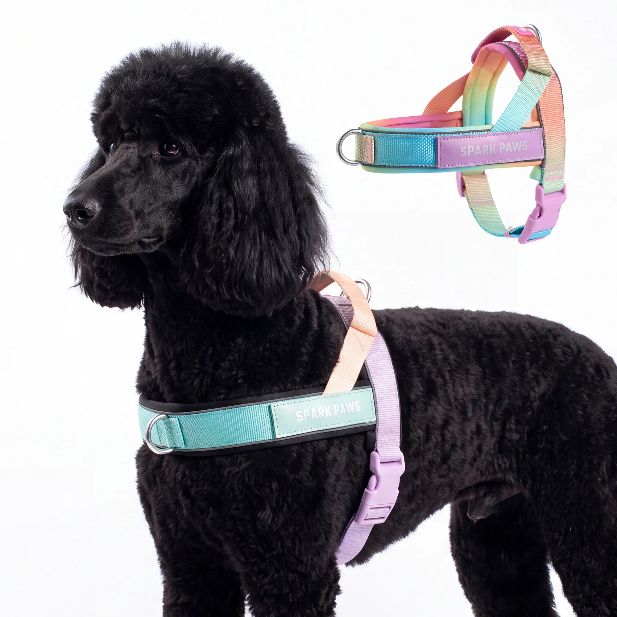 Grab & Go Harness - Pastel Icing - Image 5