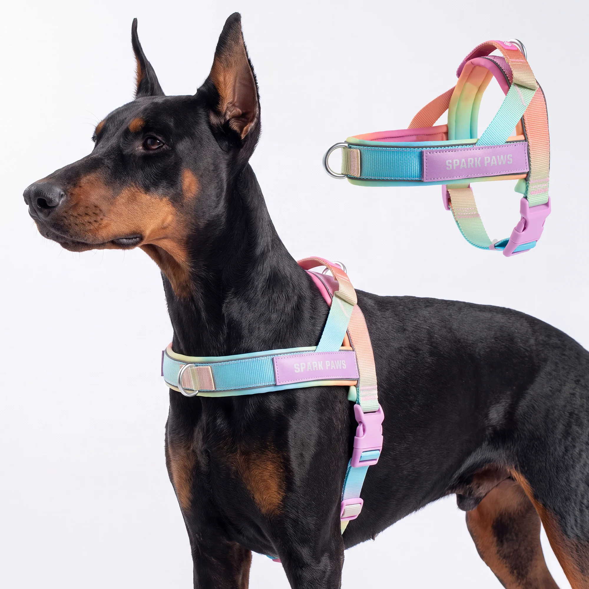 Grab & Go Harness - Pastel Icing - Image 6