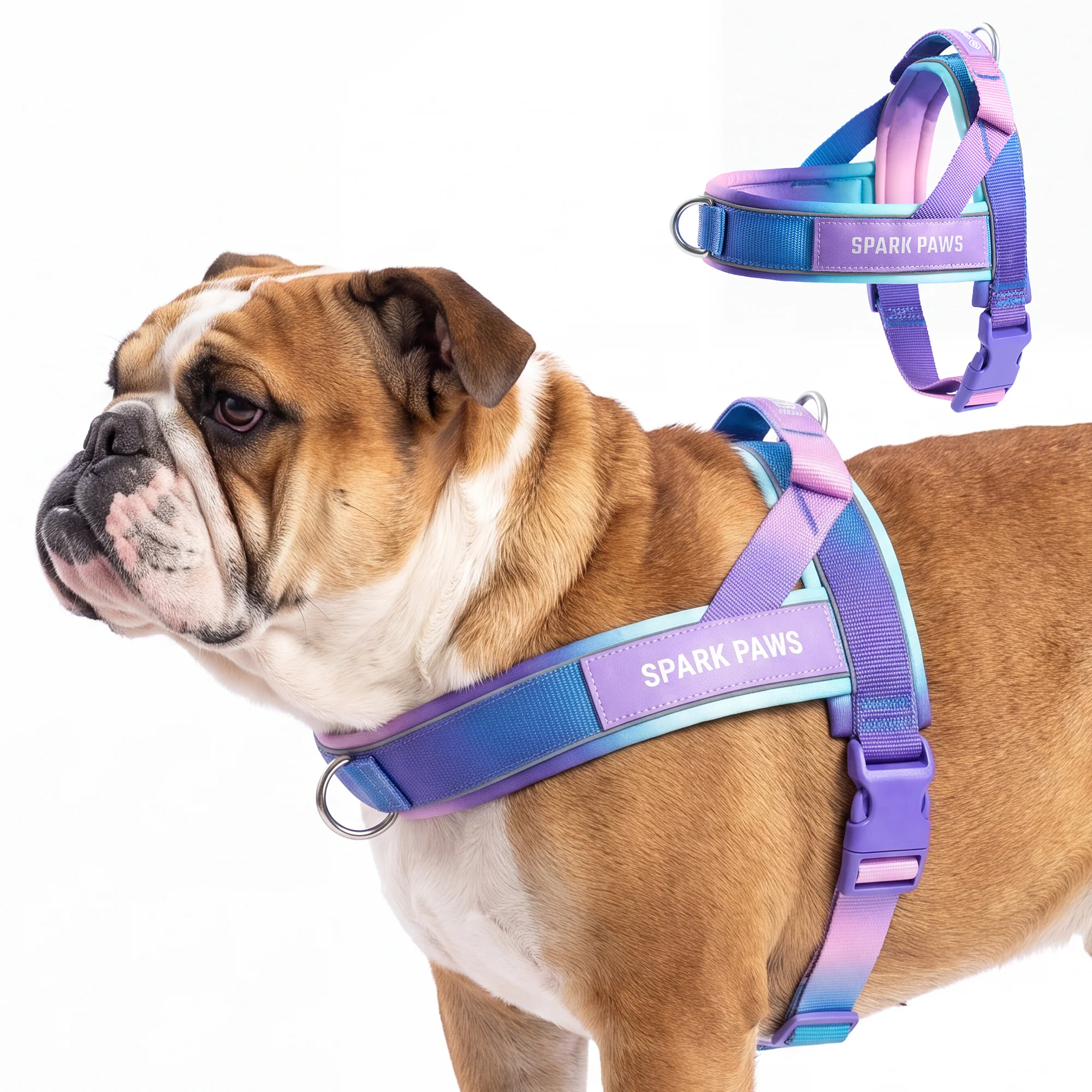 Grab & Go Harness - 90s Retro - Image 4