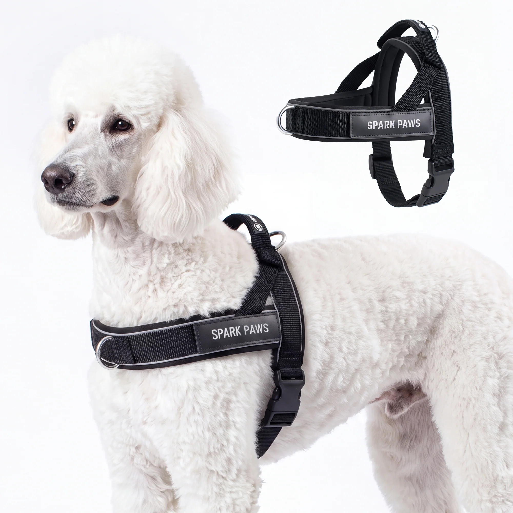 Grab & Go Harness - Black - Image 5