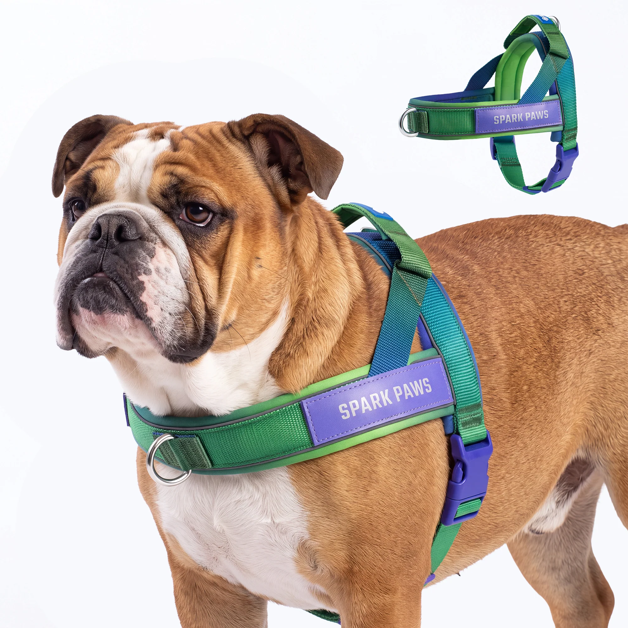 Grab & Go Harness - Image 96