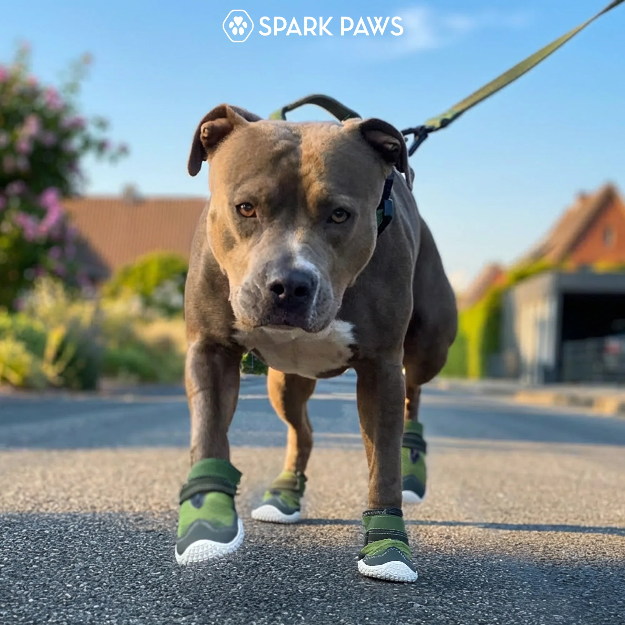 Hot Pavement Pawtector Dog Shoes - Image 24