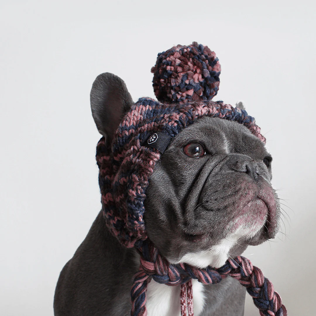 Knit Pom Pom Dog Beanie Hats - Image 11