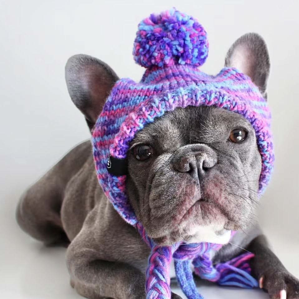 Knit Pom Pom Dog Beanie Hats - Image 6