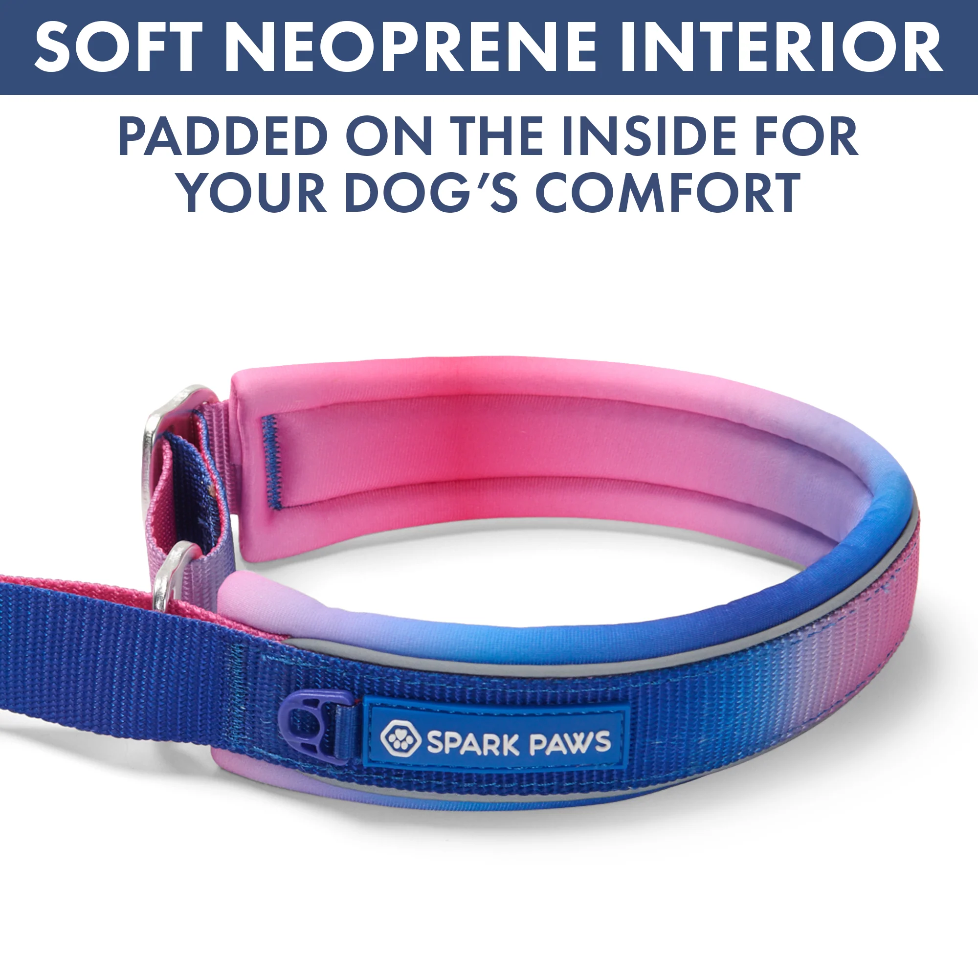 Martingale Collar and Multipurpose Leash Set - Snow Cone - Image 6