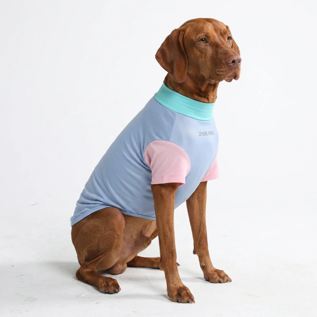 Sunblock Dog T-Shirt - Sorbet - Image 3