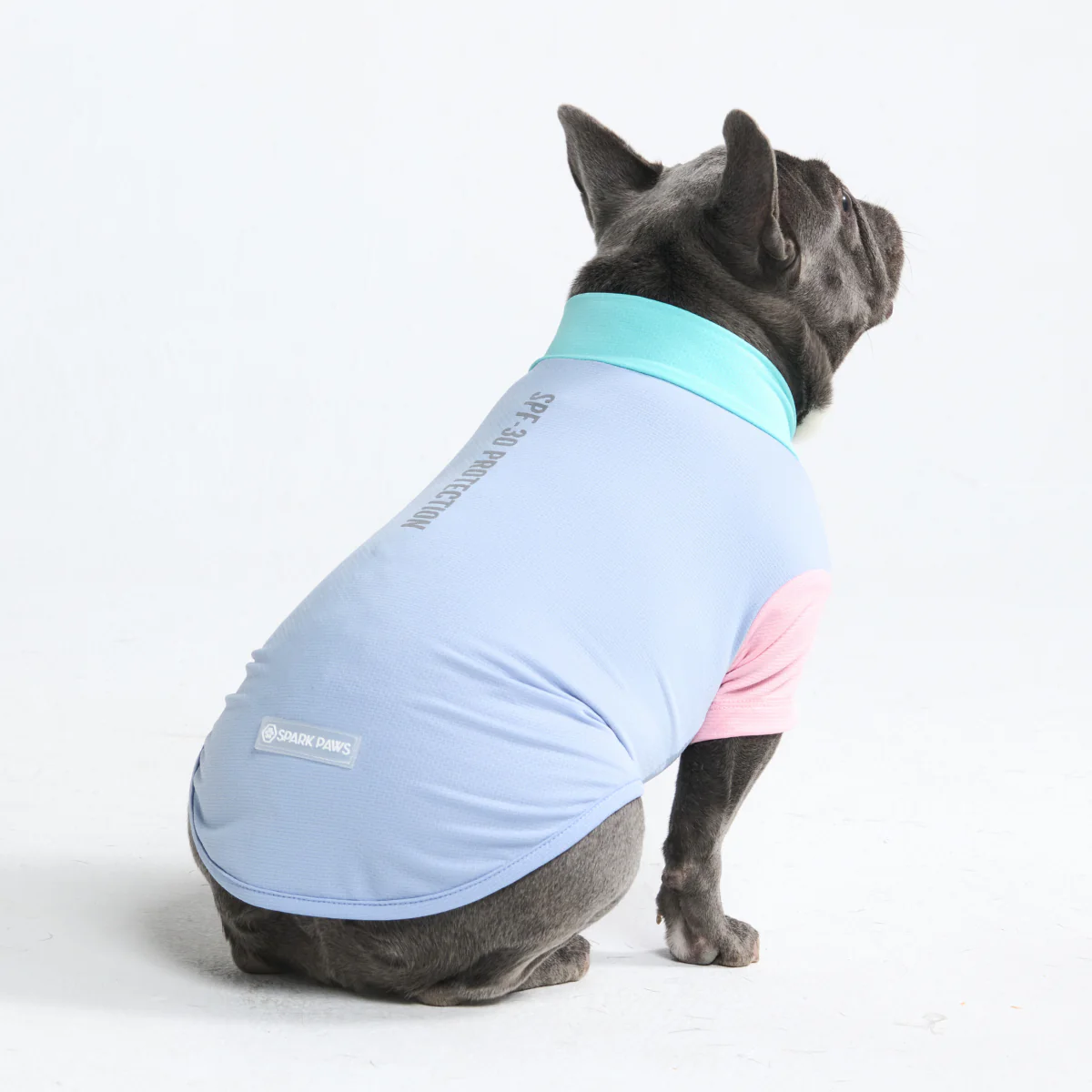 Sunblock Dog T-Shirt - Sorbet - Image 2