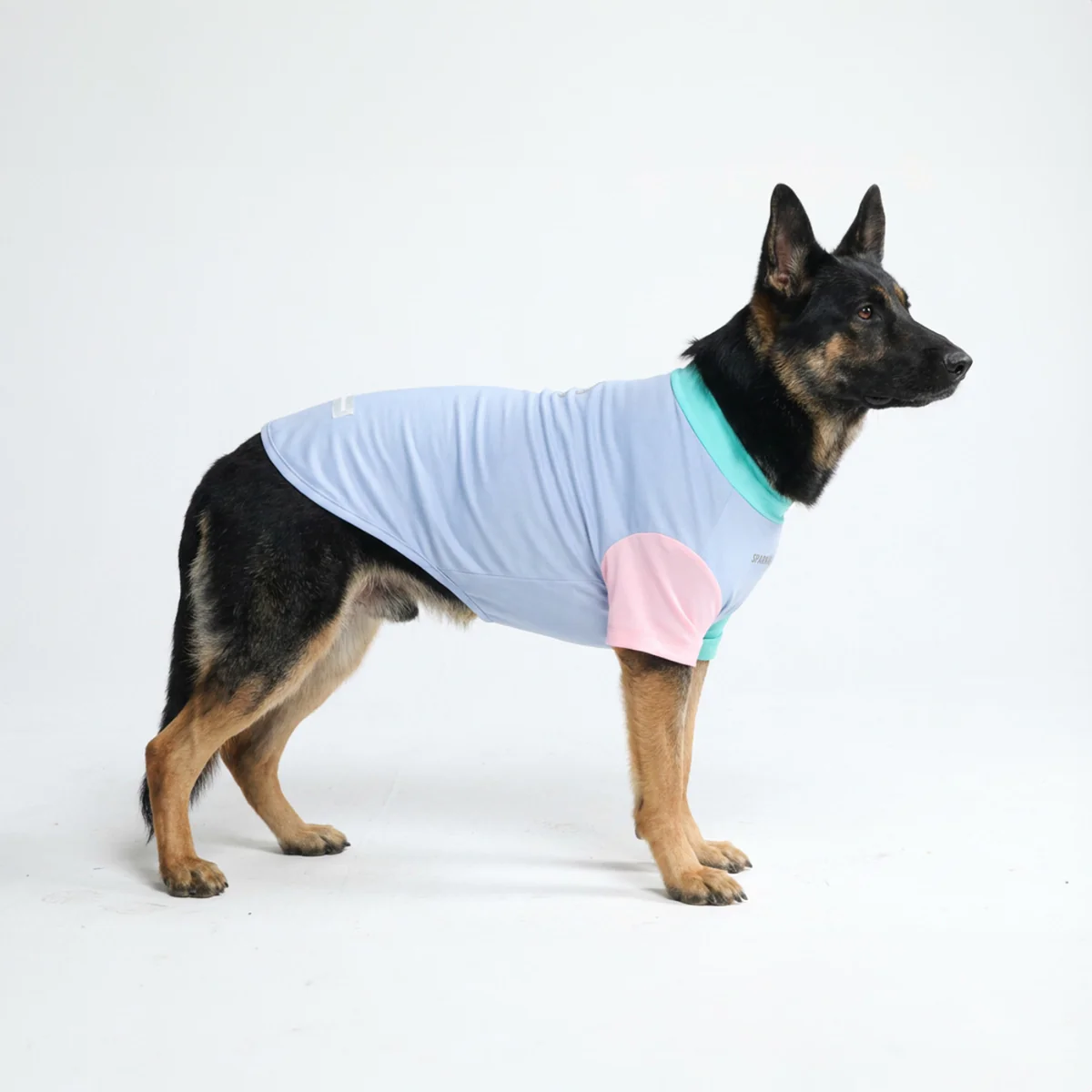 Sunblock Dog T-Shirt - Sorbet - Image 4