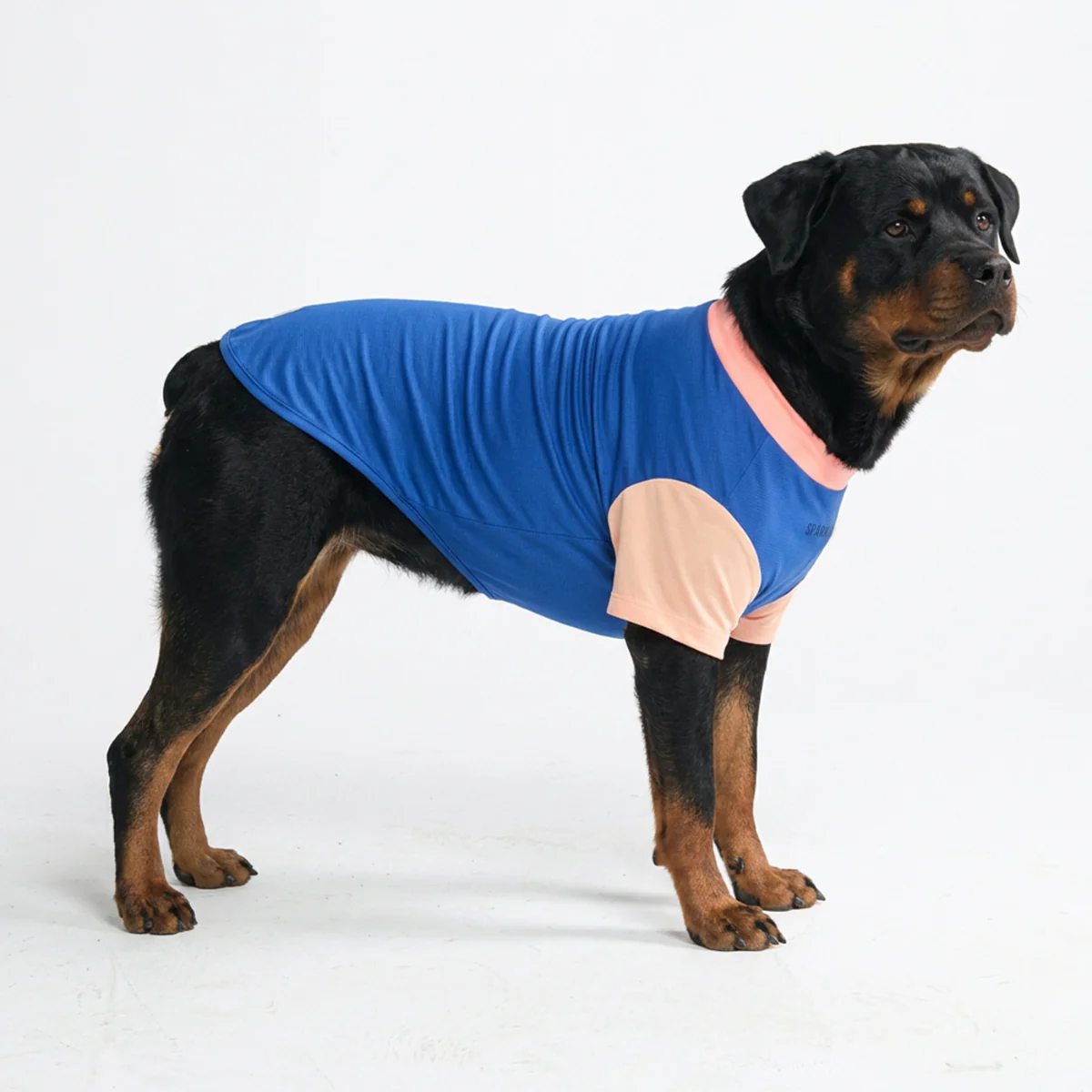 Sunblock Dog T-Shirt - Blue Hawaiian - Image 2