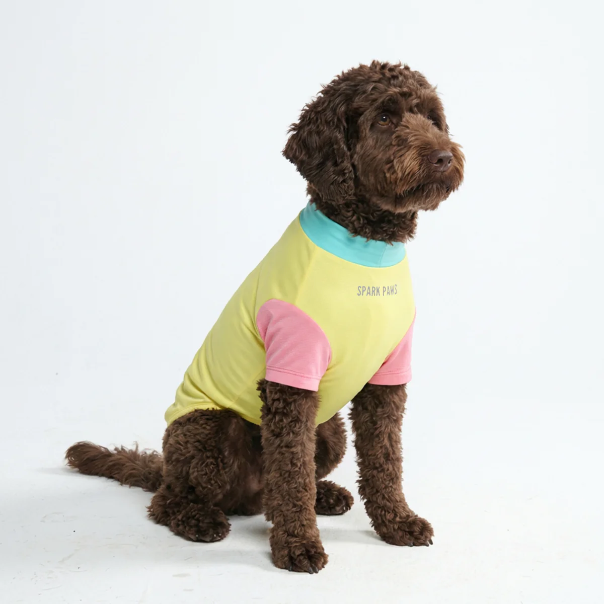 Sunblock Dog T-Shirt - Yuzu - Image 4