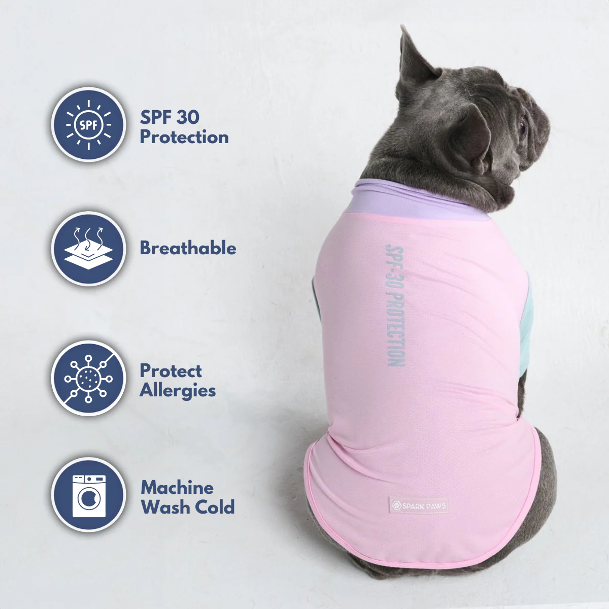 Sunblock Dog T-Shirt - Gelato - Image 7