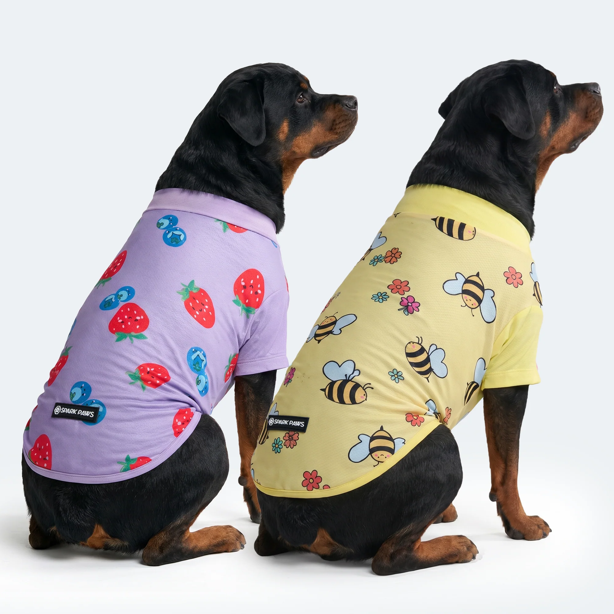 Sunblock Dog T-Shirt (2-pack) - Bees Berries - Image 4