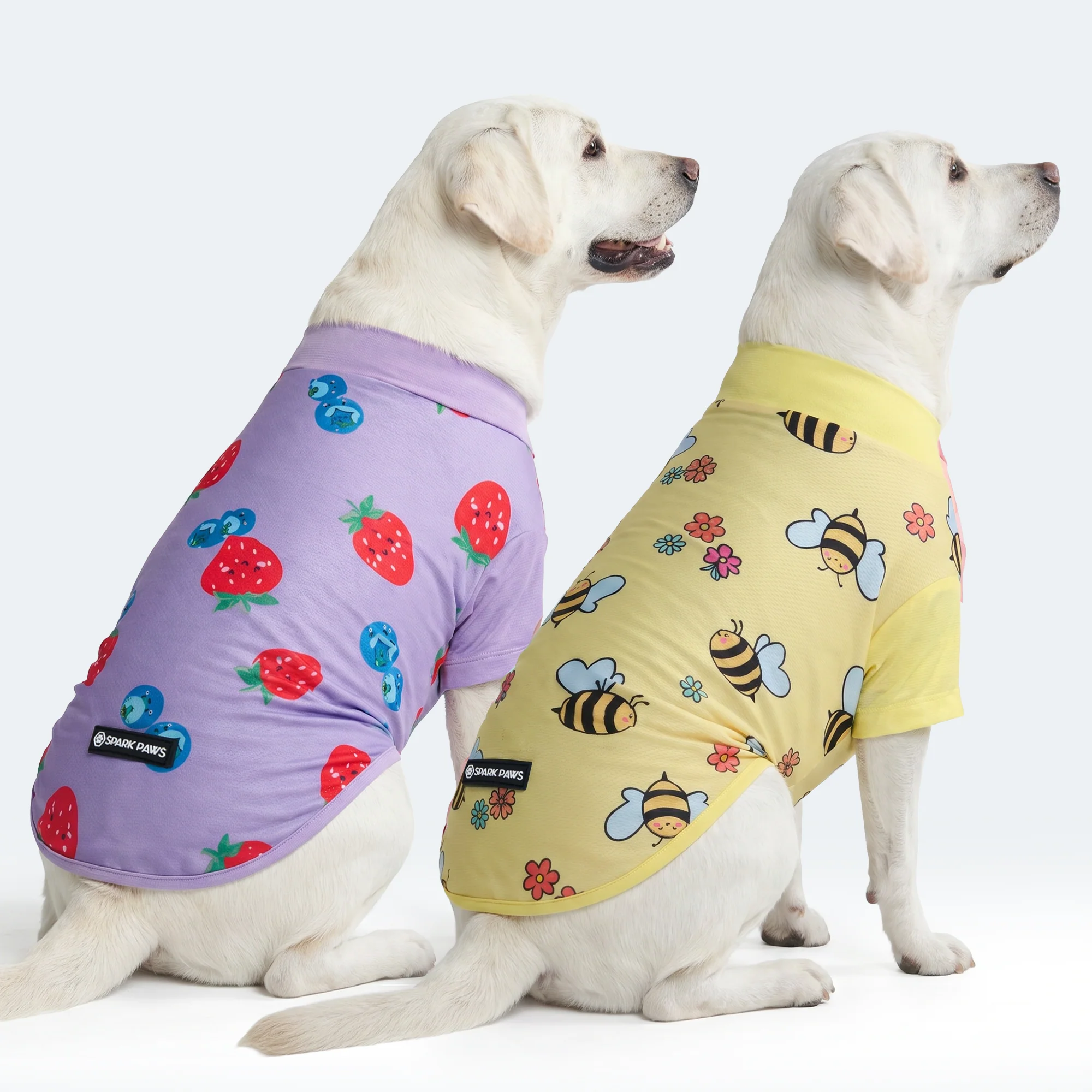 Sunblock Dog T-Shirt (2-pack) - Bees Berries - Image 3