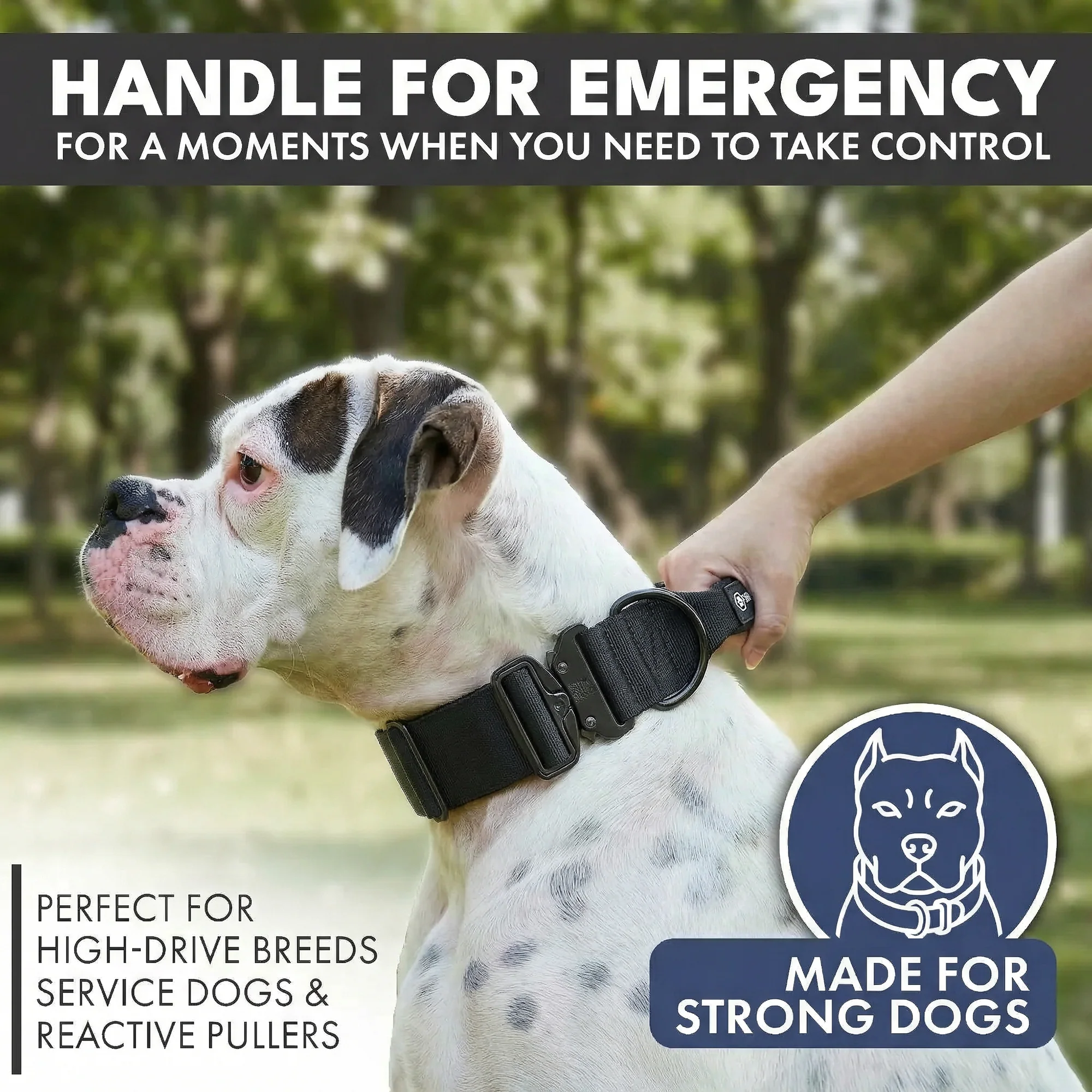 Comfort Control Collar Set - Black - Image 2