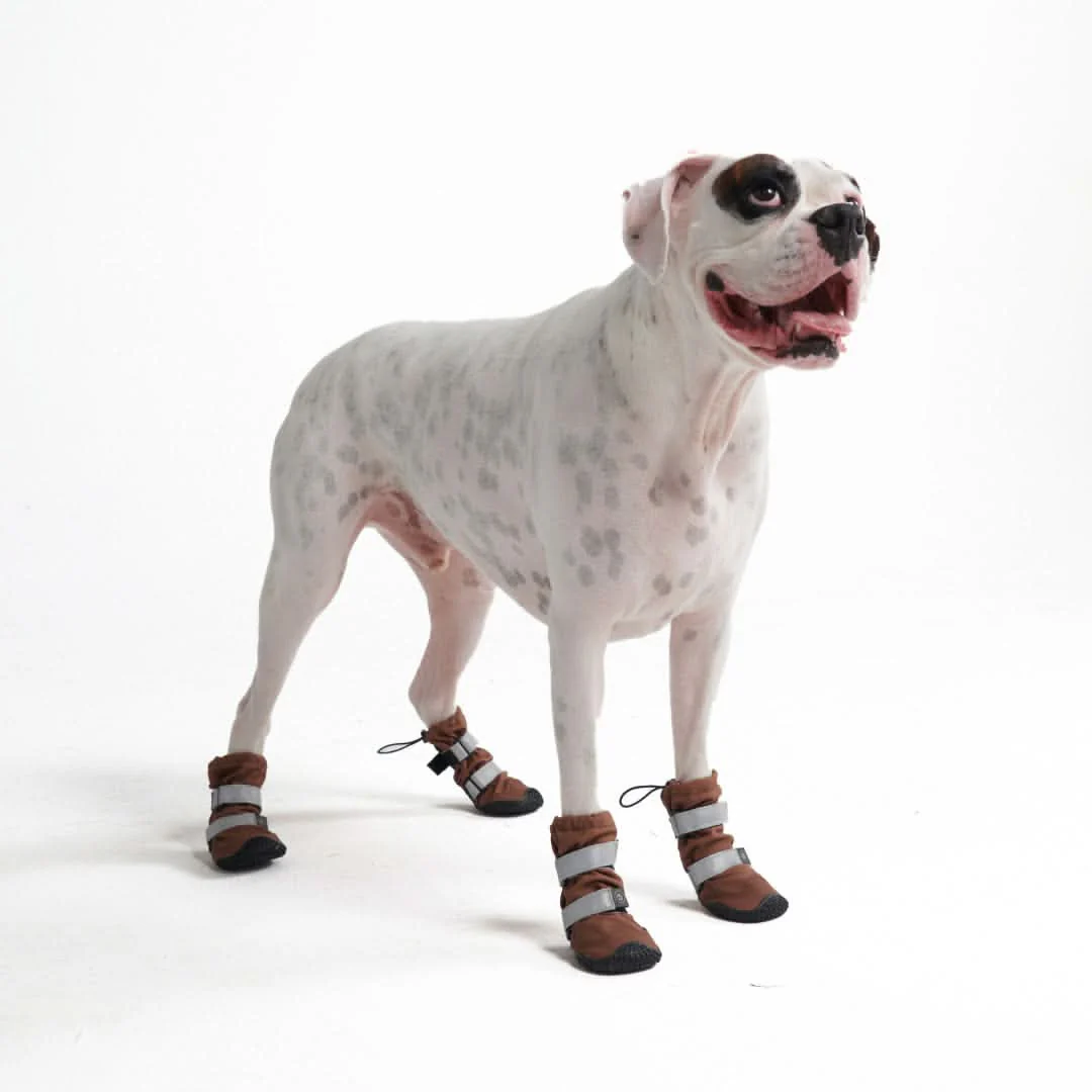 Dog Rainboots, Waterproof Dog Shoes - Brown - Image 2