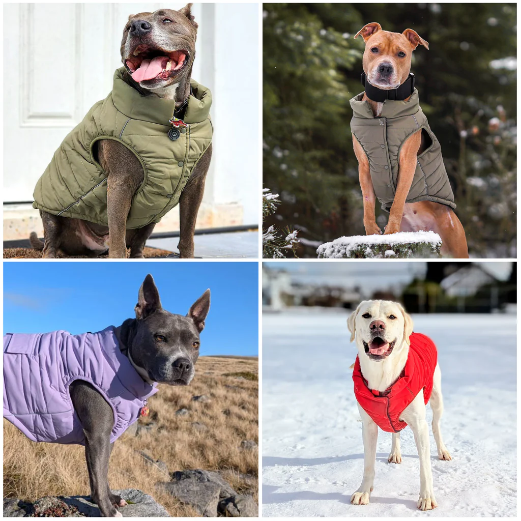 WarmShield Water-Resistant Jackets - Image 75